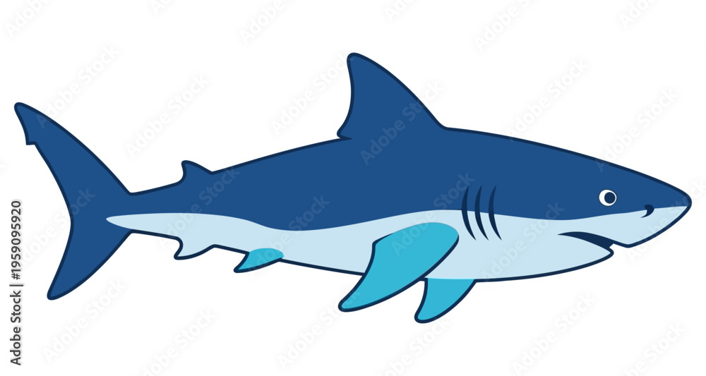Fototapeta premium Great White Shark Swimming Ocean Marine Life Predator Vector Illustration