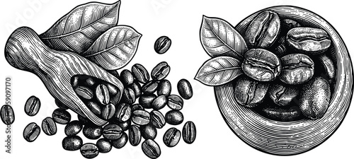 Roasted coffee beans and fresh leaves on gray checkered background