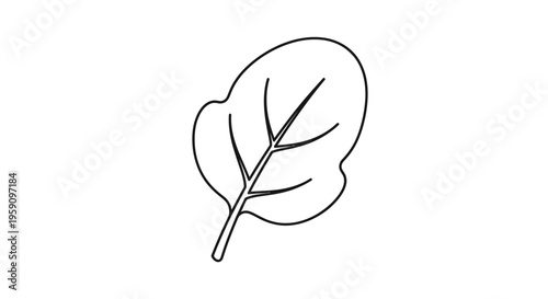Simple line drawing of a spinach leaf, healthy food icon, isolated on white background.