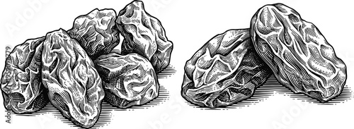 Heap of dried prunes vintage engraving style isolated on transparent background