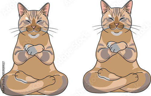 Cute meditating cat cartoon set in yoga pose, peaceful vector illustration of calm feline characters sitting cross legged in mindfulness style