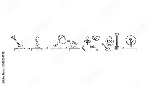 A vector graphic illustrating the process of planting and growing a tree