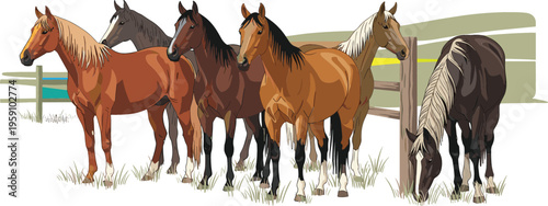 Group of horses standing in pasture near fence, realistic vector illustration of farm animals in countryside landscape with natural rural scenery