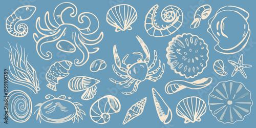 A collection of hand drawn marine life and seashells on blue background