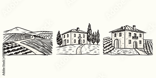 Sketch of a tuscan landscape featuring vineyards hills and stone houses