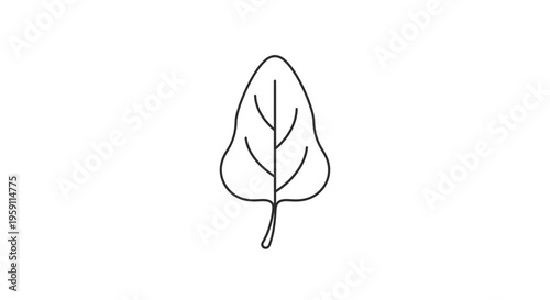 Simple Outline Icon of a Spinach Leaf, Healthy Food and Nature Symbol