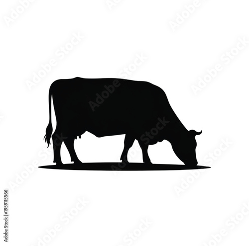 Black silhouette of a cow grazing on white background vector illustration EPS PNG file