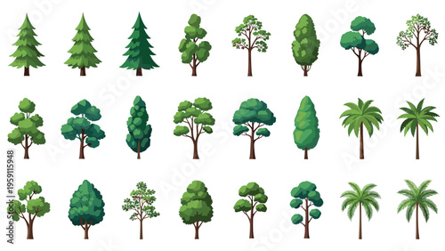 Diverse collection of tree species including pine, palm, and deciduous varieties presented in multiple rows on a white background.