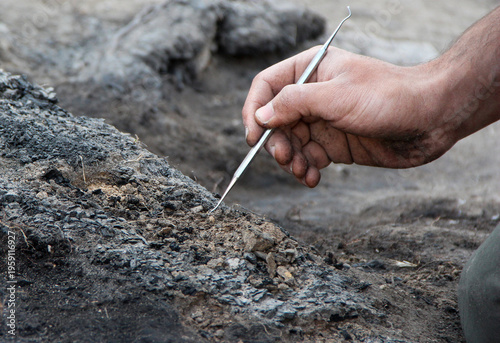 Photos Archaeologist Using Precision Tool to Examine Burnt Soil Layer in Excavation