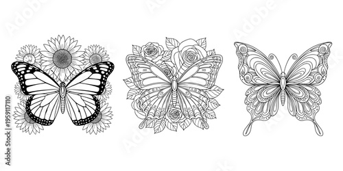  Black and white butterfly vector illustration with ornate wings, sunflower and rose floral backgrounds, decorative design, coloring page, flat vector illustration