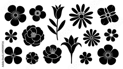 Collection of various black floral silhouettes featuring diverse petal shapes and botanical styles Vector