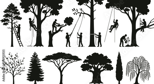 Professional arborist and tree trimmer silhouette set featuring workers climbing, pruning, using chainsaws, and planting trees for forestry, landscaping, and industrial tree service concepts