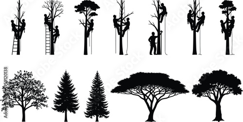 Professional arborist and tree trimmer silhouette set featuring workers climbing, pruning, and maintaining diverse trees for forestry, landscaping, and industrial tree service concepts