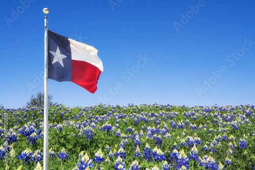 Texas state flag waving in the wind on Bluebonnet wildflower field.