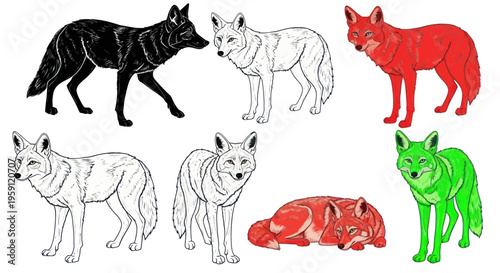Coyote Collection: Black, White, Red, Green, and Sleeping Animal Illustrations