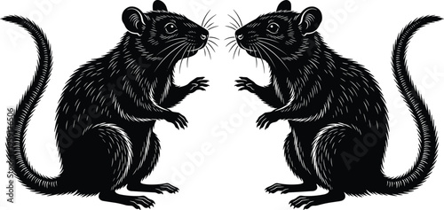 Black and White Rat Silhouette Vector Illustration Featuring Two Symmetrical Rodents in Hand Drawn Engraving Style Isolated on White Background