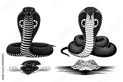 Cobra snake pair illustration and abstract elements
