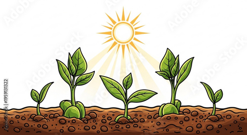Green seedlings growing in brown soil under warm sunlight symbolizing new life and growth in a natural environment
