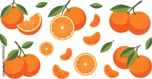 Fresh orange fruit set with whole sliced and peeled segments colorful vector illustration collection for healthy food and citrus design
