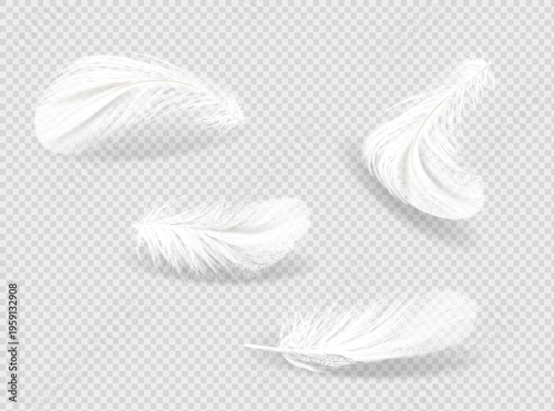 Vector 3d Realistic Various Falling White Fluffy Twisted Feather Set Close Up Isolated On Background