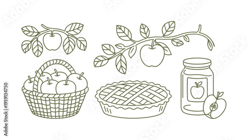 A collection of organic apple themed elements featuring fruit branches basket pie and jam jar Vector
