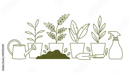 A collection of various potted plants arranged with gardening tools for home indoor cultivation Vector