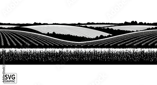 Rolling Farmland Landscape, Black and White Engraving Style, Agricultural Fields