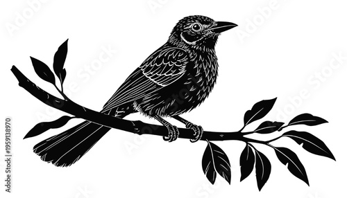 detailed songbird perched on tree branch with leaves engraving style black and white illustration for wildlife nature design