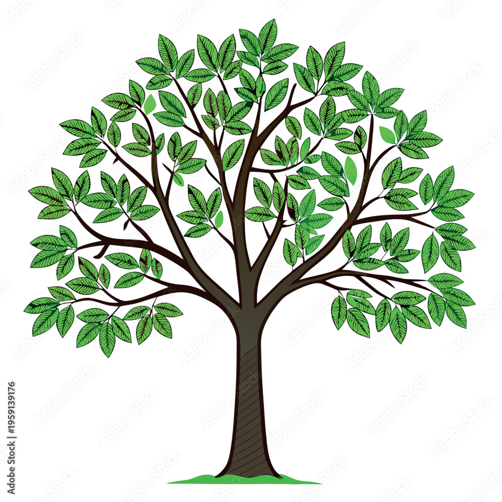 Obraz premium Fig tree illustration vector design 