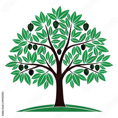 Fig tree illustration vector design 