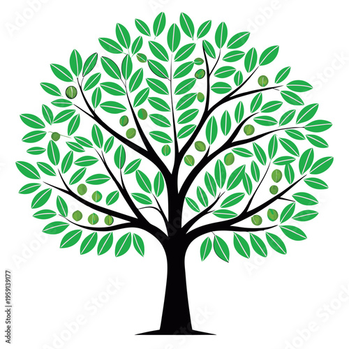 Fig tree illustration vector design 
