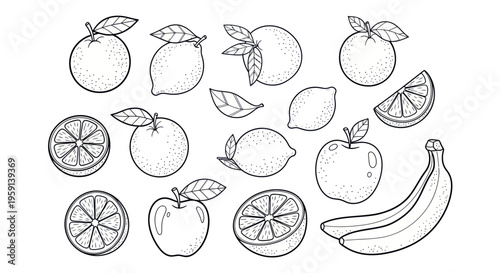 Hand-Drawn Fruits Collection: Oranges, Lemons, Apples, Bananas - Outline Art