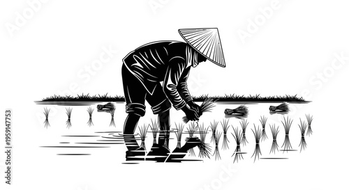 Asian farmer planting rice in a field with a traditional conical hat on a sunny day