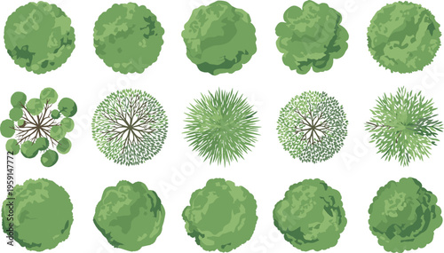 Top view tree collection vector, green forest canopy set, landscape plan elements, park map symbols, detailed foliage illustration