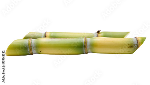 Фотография Vibrant green and yellow sugarcane stalks, neatly arranged and isolated on trans