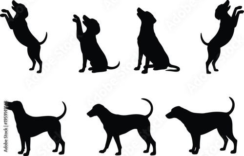 "Dog silhouette illustration, various canine poses, sitting, standing, begging, pet design, animal artwork, domestic dogs, behavior representation"