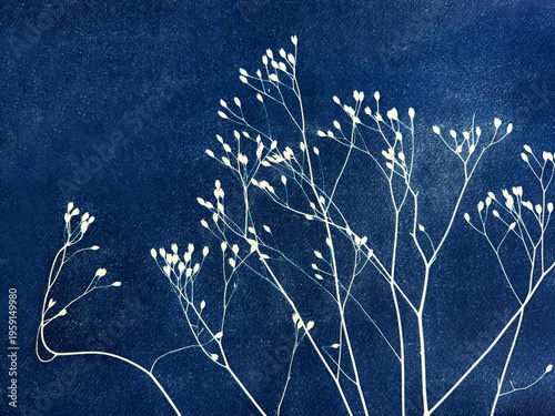Foto Winter field grass created in cyanotype technique