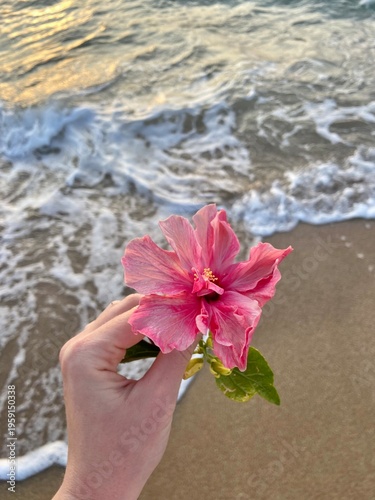 woman hands with flower