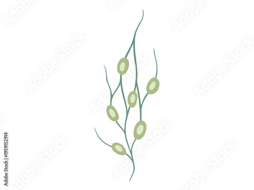 Swollen Lymph Nodes Clip Art
