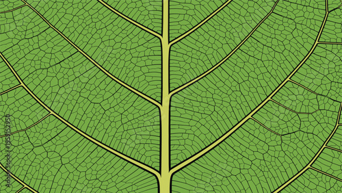Macro view of a vibrant green leaf highlighting the complex network of veins and cells in a beautiful natural geometric pattern for botanical study.