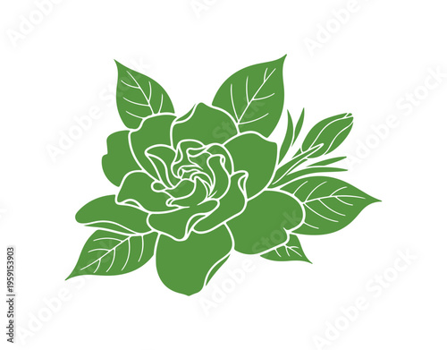 Indoor gardenia jasmine flower illustrated in clean vector style.