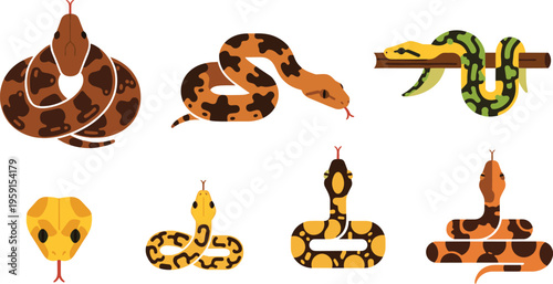 Snake and Reptile Cartoon Icon Set with Python, Cobra, Viper and Colorful Wildlife Serpent Illustration Collection