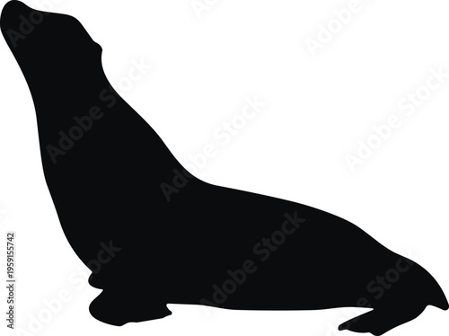 Black silhouette of a sea lion or seal isolated on white background for marine life conservation projects and aquatic animal nature park logos.