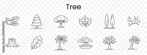 Tree set icon. Outline foliage elements, acorn, fir tree, oak tree, maple leaf, cypress, branch, stump, palm, bonsai, fruit tree, curved palm, forest plants.