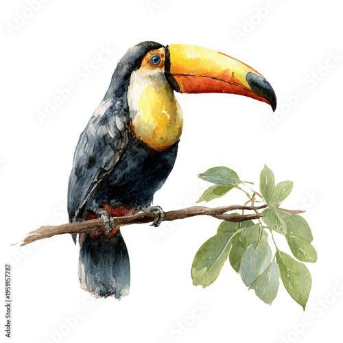 Exquisite Toucan on Branch Watercolor Isolated on White Background for Professional Use