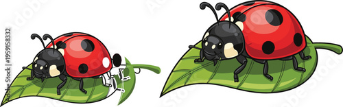 Ladybug on green leaf set with different sizes and positions, detailed vector illustration of red spotted insects in natural garden environment