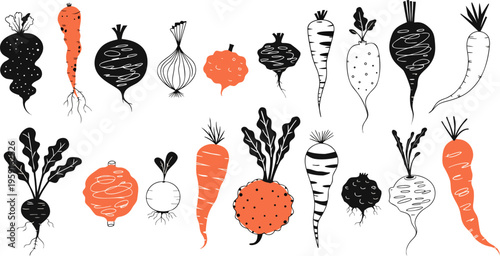 Root Vegetables Vector Collection — Beet, Carrot, Radish, Turnip and Organic Farm Produce Illustrations