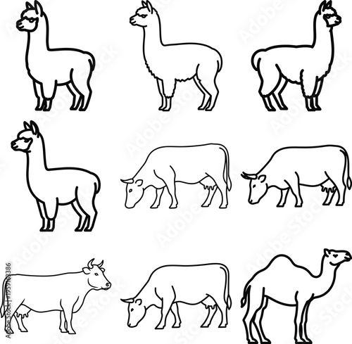 Collection of black line of llamas cows and a camel llama alpaca cow cattle camel dromedary animal farm livestock domestic animal mammal outline symbol simple clean isolated white background