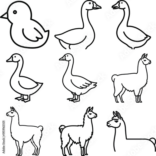 Collection of line of a chick goose and llamas baby bird duck