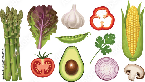 Fresh vegetable vector set. Detailed illustrations of asparagus, avocado, corn, red lettuce, tomato, and garlic. Organic healthy food elements for culinary design.